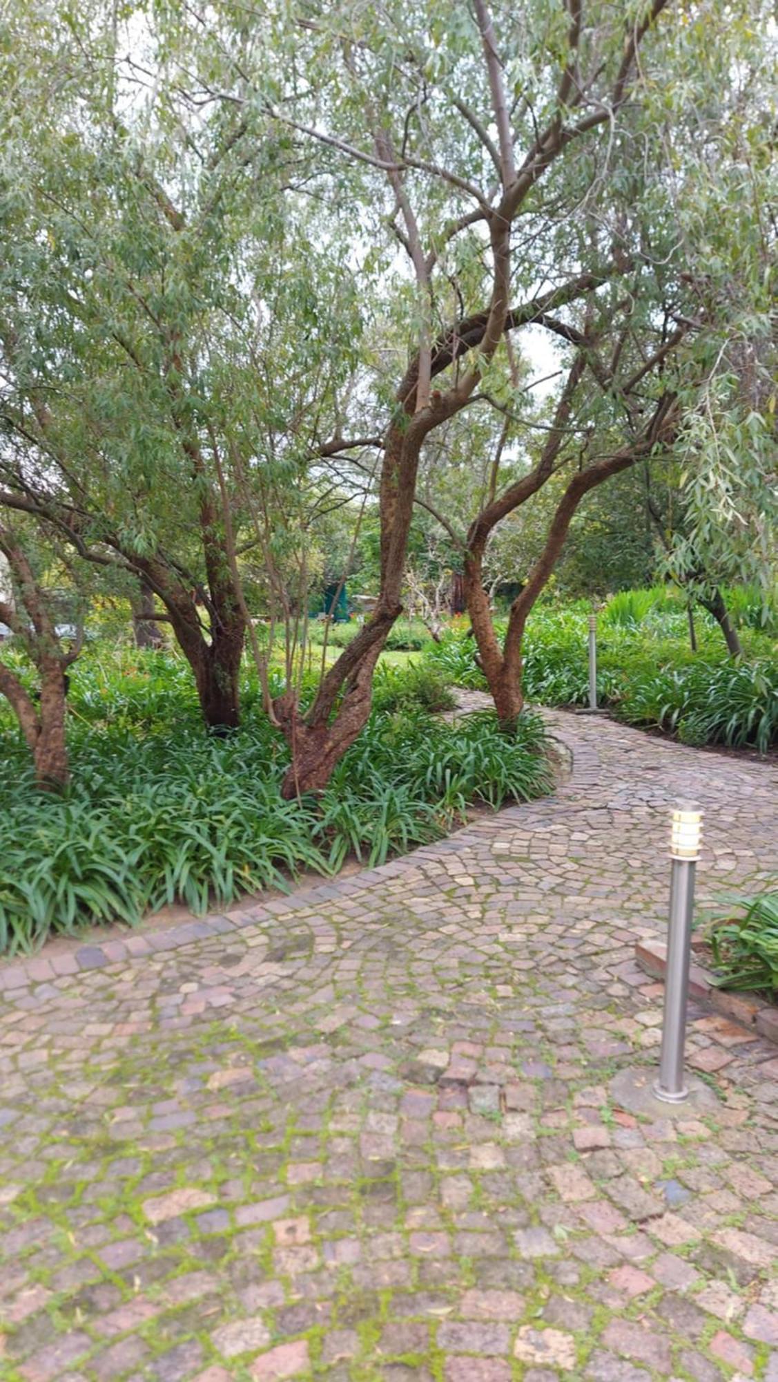 Sanji's Somerset West